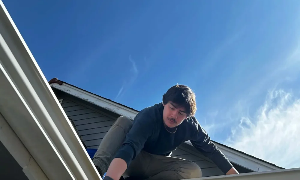 Gutter Cleaning